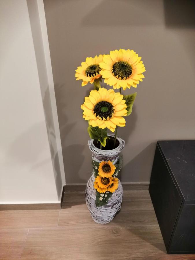 La Casa Dei Girasoli مارسالا المظهر الخارجي الصورة